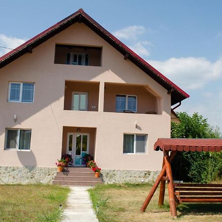 Pensiunea Aly Bumbesti Pitic Bagian luar foto