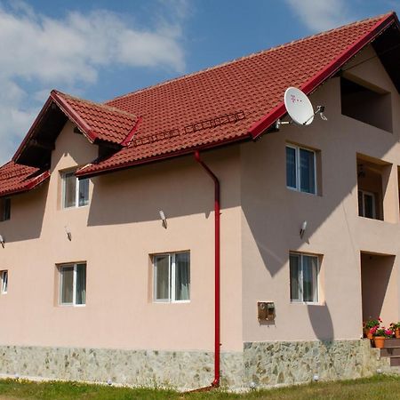 Pensiunea Aly Bumbesti Pitic Bagian luar foto