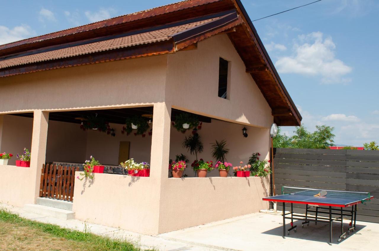Pensiunea Aly Bumbesti Pitic Bagian luar foto
