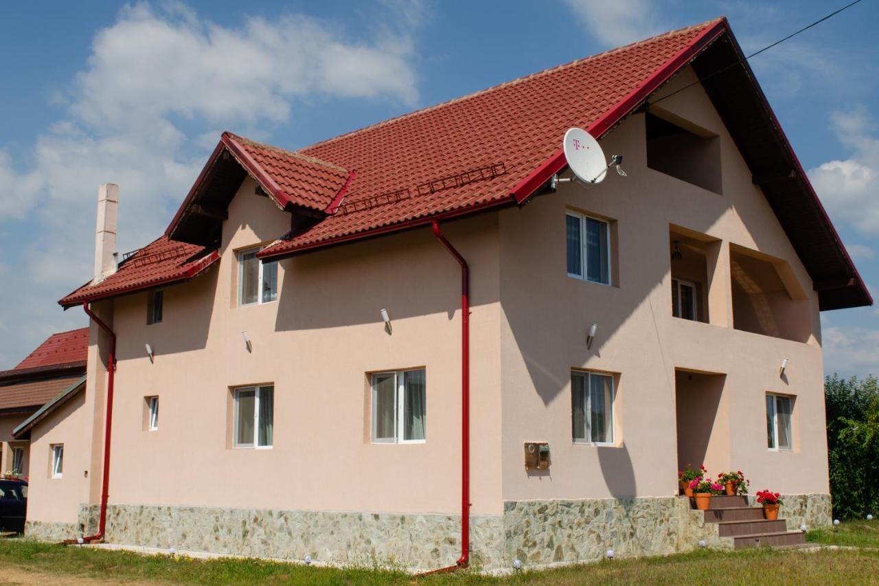 Pensiunea Aly Bumbesti Pitic Bagian luar foto