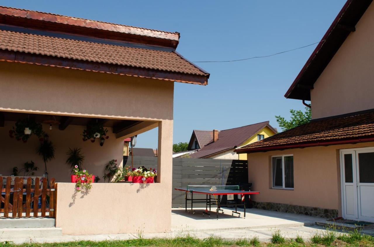 Pensiunea Aly Bumbesti Pitic Bagian luar foto